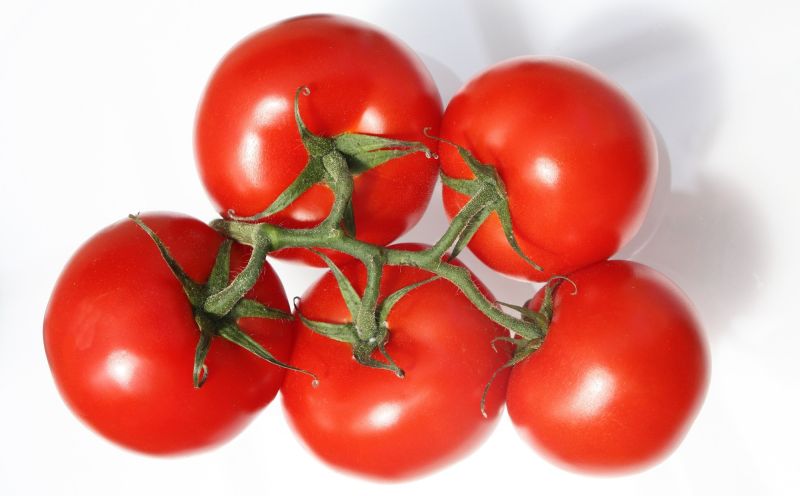 Common Tomato, for Cooking, Color : Red