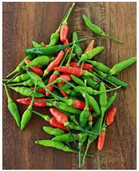 Bird eye chilli, Quality Available : A Grade