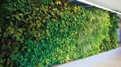 Plastic Artificial Green Wall