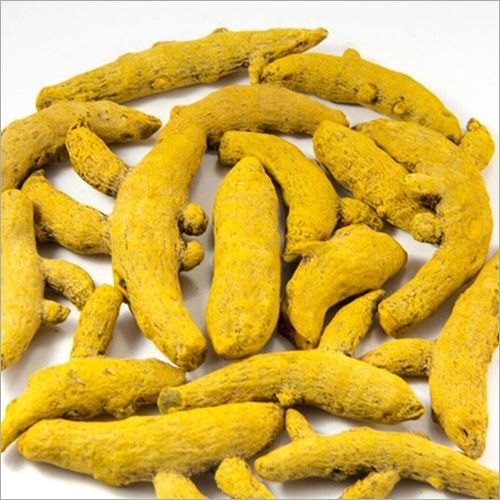 Yellow Whole Turmeric Finger, for Spices, Shelf Life : 9 Month