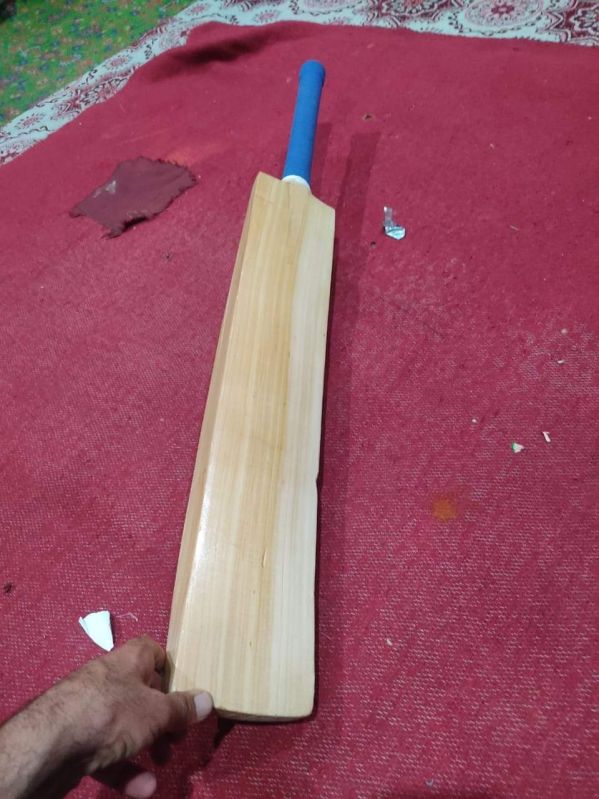 kashmir willow bats double blade without design