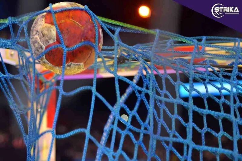 handball net