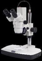 Stereoscopic Microscope