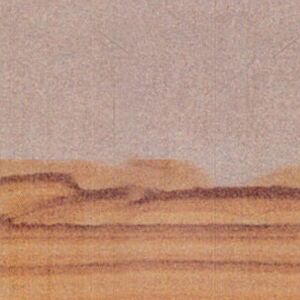 Desert Camel Sandstone