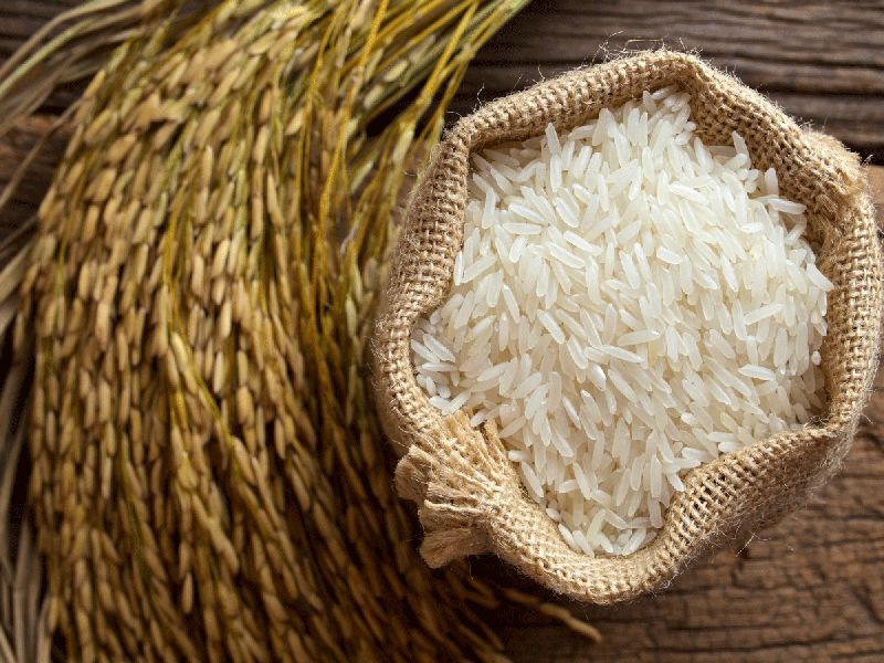 clearfield rice