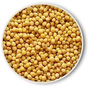 Mustard Seeds