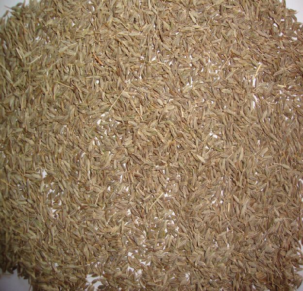 Cumin Seed