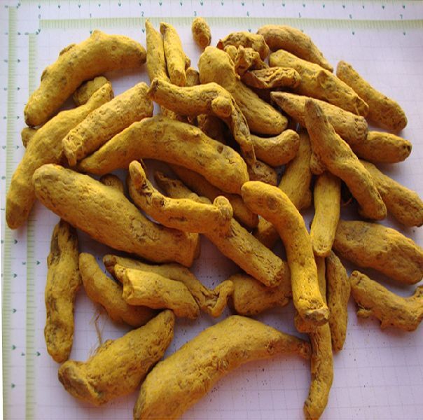 Turmeric, Length : 3 Cms (app.)