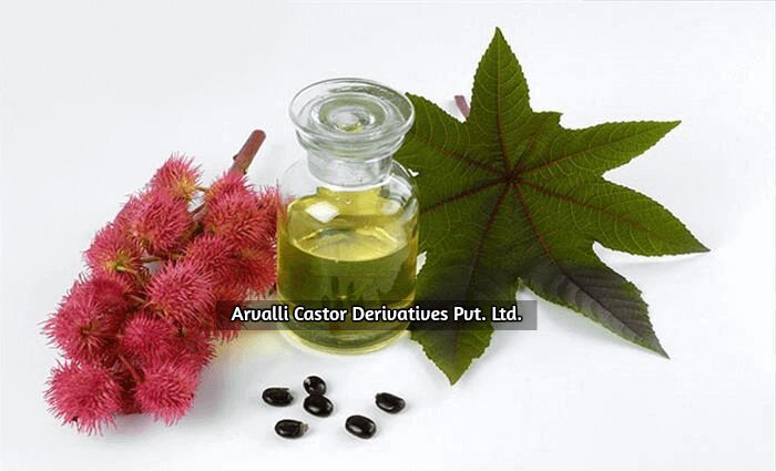 Castor Oil - PP