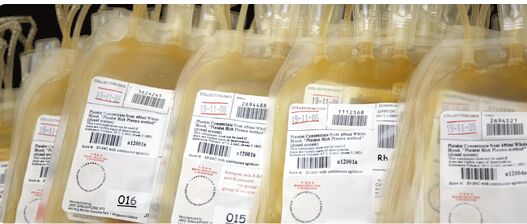 LIFECODES Transfusion Medicine