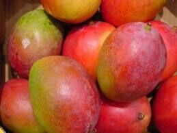 Fresh Organic Mangoes