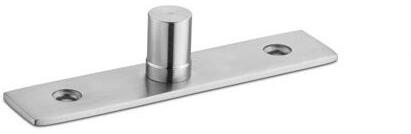 Stainless Steel SS Pivot Hinges