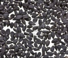 Black Cumin Oil