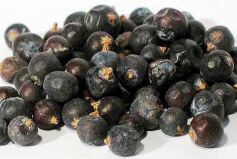 Juniper Berry Oil, Color : Colorless to greenish yellow