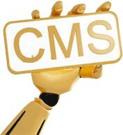 Cms Development Services