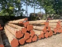 Round Teak Wood Log, For Furniture, Color : Brown