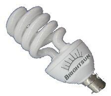 Cfl Bulb