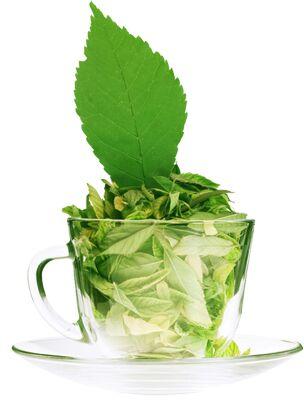 Stevia Tea Leaves Sweetener