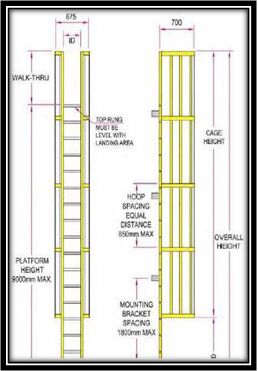 Acl Safety Ladder System