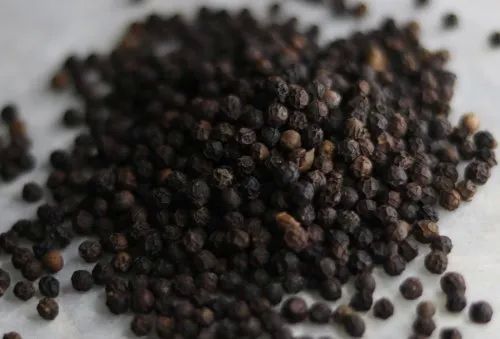 Raw Organic Black Pepper Seed, for Cooking, Packaging Type : Bag
