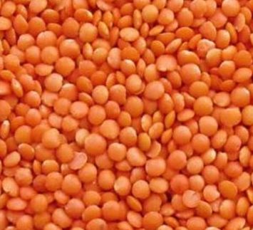 Organic Red Lentils, for Cooking, Packaging Size : 25kg