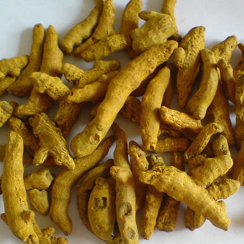 Whole Turmeric Finger, Packaging Type : Bag