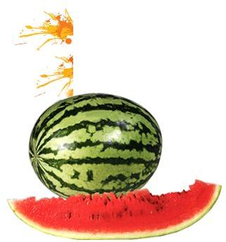 Water Melon