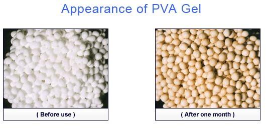 PVA Gel Beads