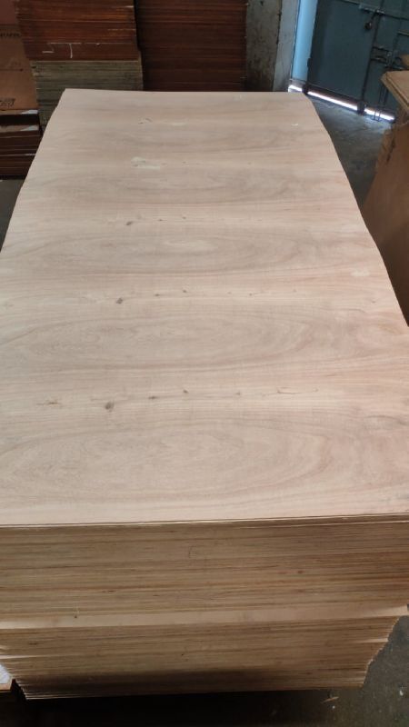 Non Polished Mr Grade Plywood, for Furniture, Length : 8ft