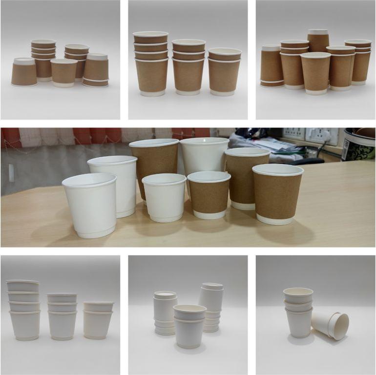 Paricott Double wall Paper Cup