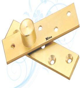 Bearing Pivot Hinges