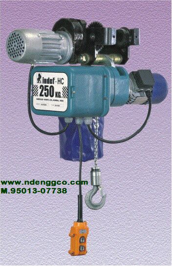 Chain Electric Hoist