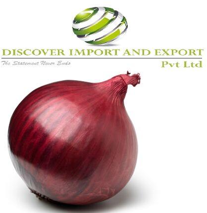 Dehydrated onion exports