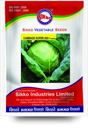 Sikko Cabbage Seeds