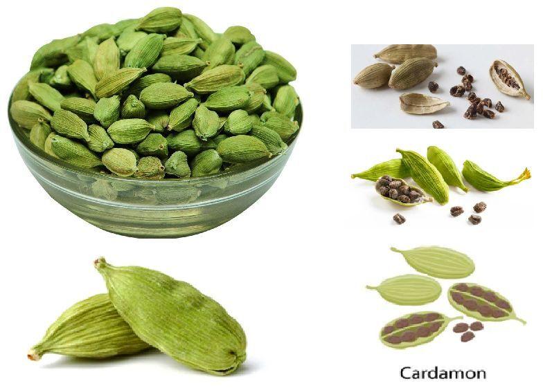 Cardamom, for Cooking, Medicnes, Feature : Antimicrobial Nature, Gives Skin Radiance, Good Quality