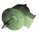 Electric Motor Long Shaft