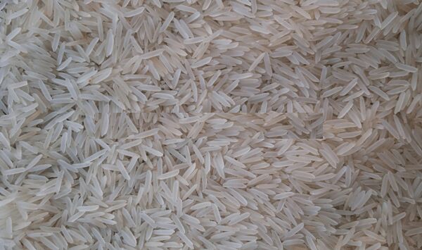 Sharbati Sella Cream Rice