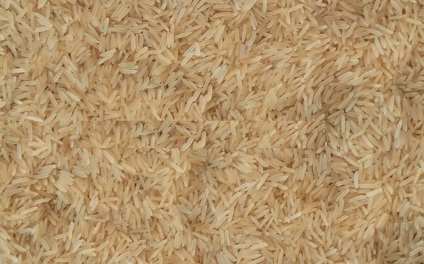 Sugandha Sella Golden Rice