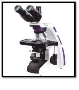 Biological Microscope