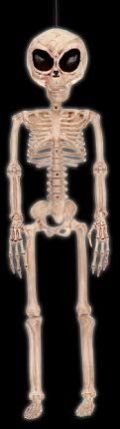Alien Skeleton