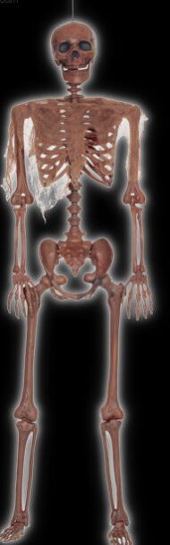 Decayed Pose-N-Stay Skeleton