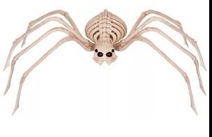 Large Spider Skeleton