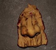 Nasty Nose Spooky Prop