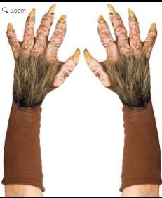 Zagone Beast Gloves Brown