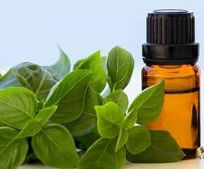 Basil Oil, Purity : 100% Pure Natural