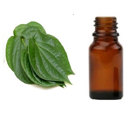 betel leaf oil