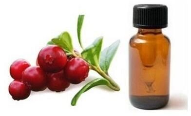 Lingonberry Oil