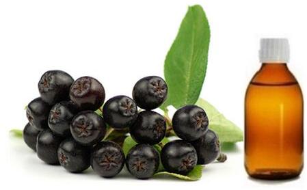 Maqui Berry Oil, Purity : 100% Pure Natural