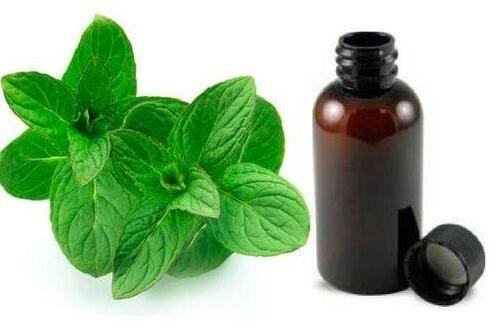 MENTHA CITRATA OIL, Purity : 100% Pure Natural