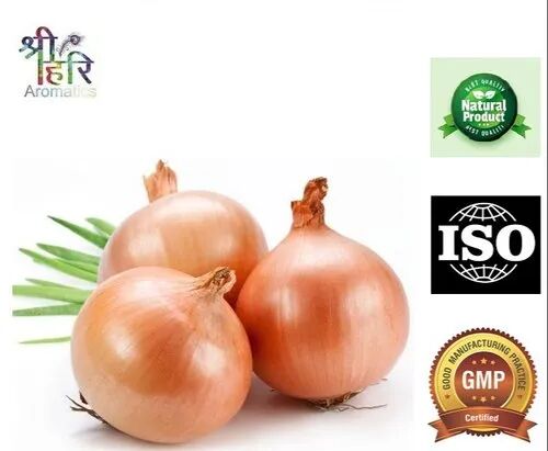 Onion Extract, Shelf Life : 2 Year